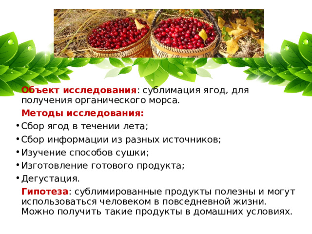  Объект исследования : сублимация ягод, для получения органического морса.  Методы исследования: Сбор ягод в течении лета; Сбор информации из разных источников; Изучение способов сушки; Изготовление готового продукта; Дегустация.  Гипотеза : сублимированные продукты полезны и могут использоваться человеком в повседневной жизни. Можно получить такие продукты в домашних условиях. 