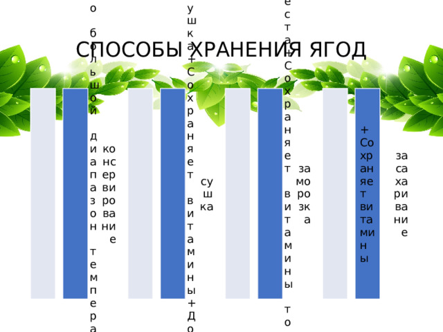 консервирование сушка заморозка засахаривание СПОСОБЫ ХРАНЕНИЯ ЯГОД -Долгая сушка -Занимает много места - химические вещества +Сохраняет витамины +достаточно большой диапазон температур +Сохраняет витамины только шоковая заморозка +Сохраняет витамины -Убивает витамины +Долгое хранение +долгое хранение 