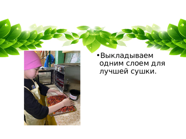 Выкладываем одним слоем для лучшей сушки. 