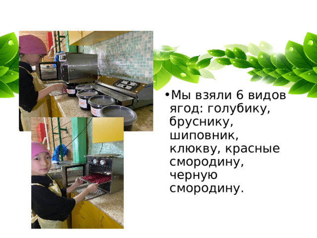 Мы взяли 6 видов ягод: голубику, бруснику, шиповник, клюкву, красные смородину, черную смородину. 