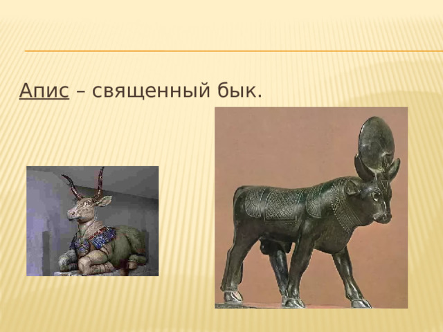 Апис – священный бык. 