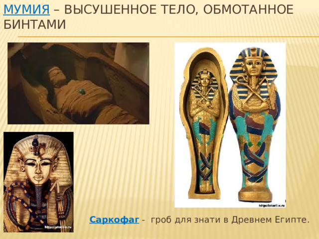 Мумия – высушенное тело, обмотанное бинтами  Саркофаг - гроб для знати в Древнем Египте. 