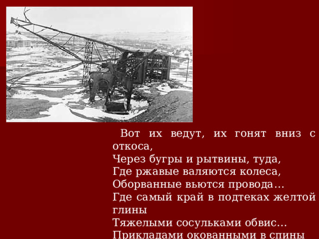  Вот их ведут, их гонят вниз с откоса, Через бугры и рытвины, туда, Где ржавые валяются колеса, Оборванные вьются провода… Где самый край в подтеках желтой глины Тяжелыми сосульками обвис… Прикладами окованными в спины Их друг за другом сталкивают вниз . 