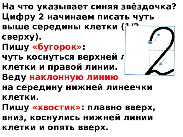 На что указывает синяя звёздочка? Цифру 2 начинаем писать чуть выше середины клетки (1/3 сверху). Пишу «бугорок» : чуть коснуться верхней линии клетки и правой линии. Веду наклонную линию на середину нижней линеечки клетки. Пишу «хвостик» : плавно вверх, вниз, коснулись нижней линии клетки и опять вверх. 