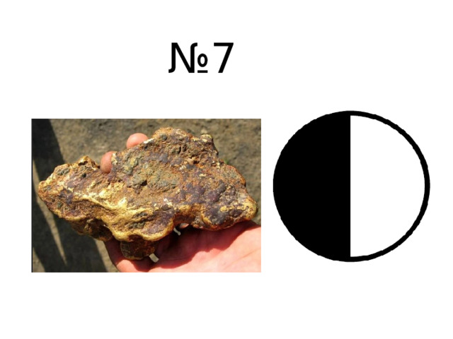 № 7  