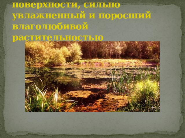 Болото – участок земной поверхности, сильно увлажненный и поросший влаголюбивой растительностью 