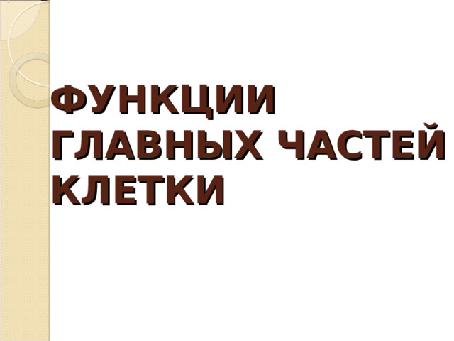 ФУНКЦИИ ГЛАВНЫХ ЧАСТЕЙ КЛЕТКИ 
