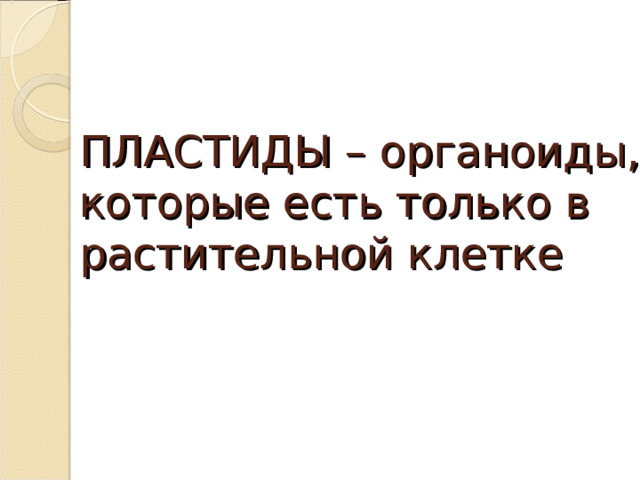ПЛАСТИДЫ – органоиды, которые есть только в растительной клетке 