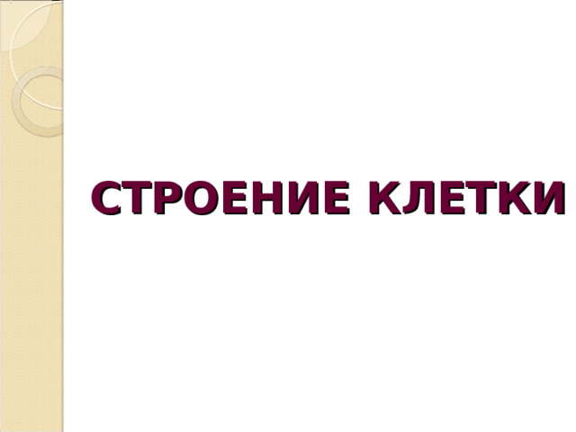      СТРОЕНИЕ КЛЕТКИ 
