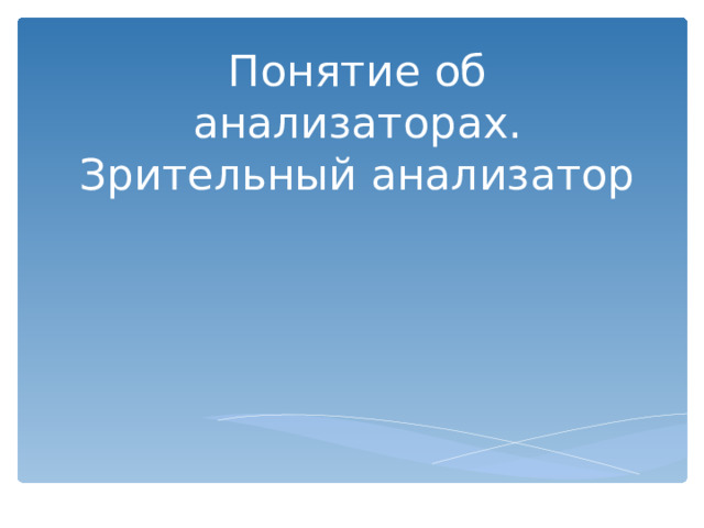Понятие об анализаторах.  Зрительный анализатор 