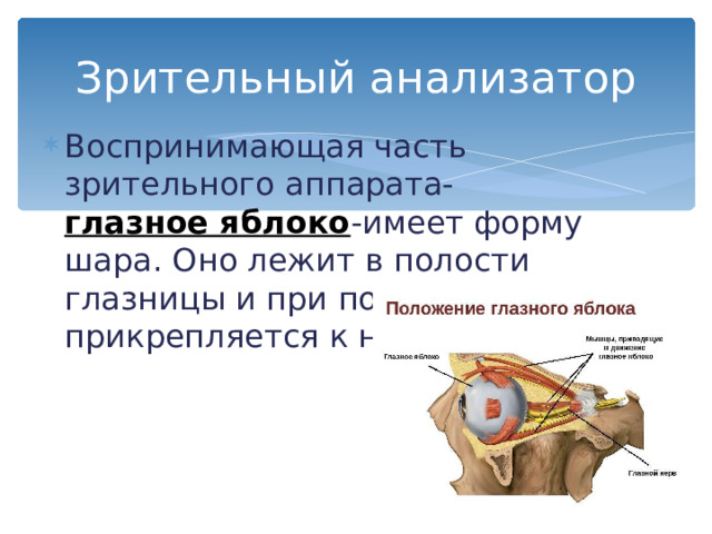 МЫ ВИДИМ ЧЕРНЫЕ И БЕЛЫЕ ТОЧКИ… НО ТУТ ТОЛЬКО БЕЛЫЕ  