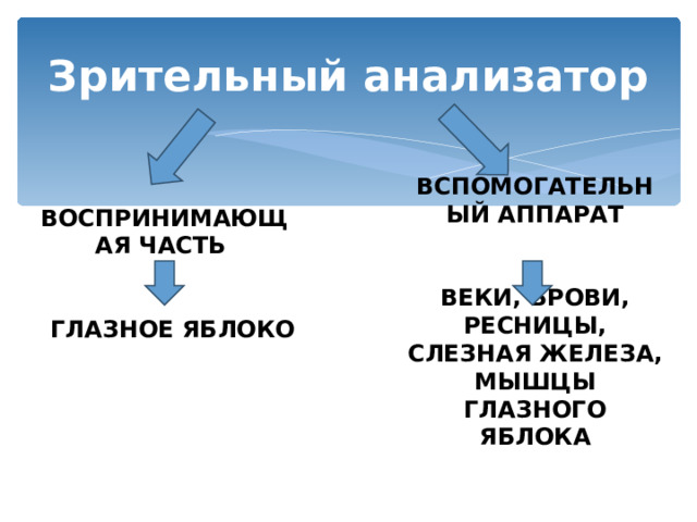 А ЭТА КАРТИНА ИЗОБРАЖЕНА НА АСФАЛЬТЕ  