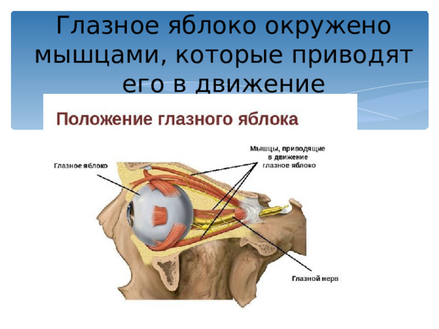КОНЕЦ ФИЛЬМА  