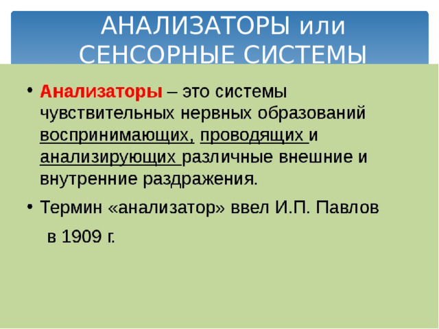 АНАЛИЗАТОРЫ или СЕНСОРНЫЕ СИСТЕМЫ 