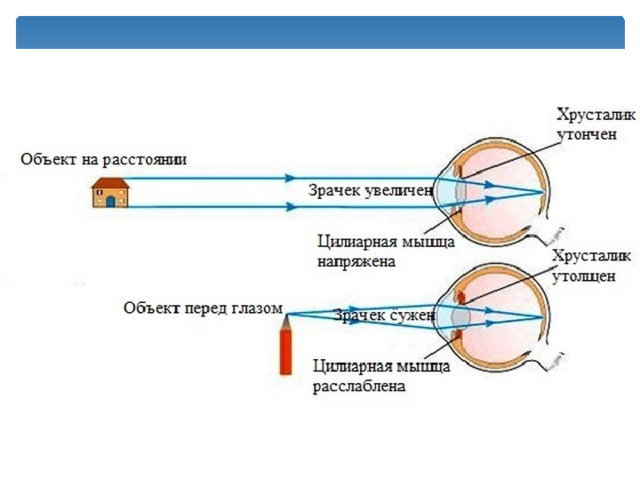 размера 
