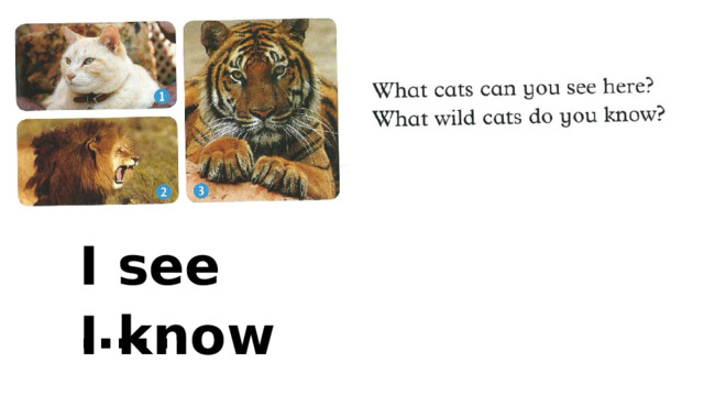 I see ….. I know ….. 
