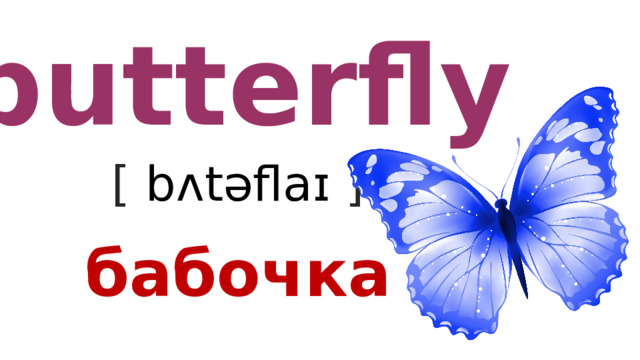 butterfly [ bʌtəflaɪ ] бабочка 