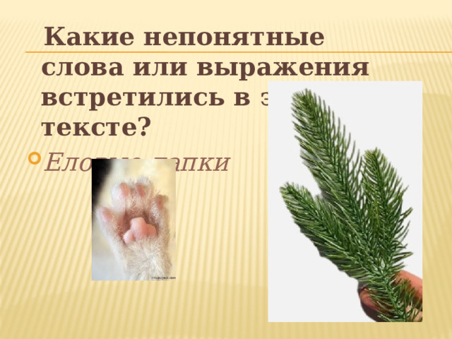  Какие непонятные слова или выражения встретились в этом тексте? Еловые лапки 