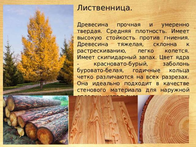 Лиственница. Древесина прочная и умеренно твердая. Средняя плотность. Имеет высокую стойкость против гниения. Древесина тяжелая, склонна к растрескиванию, легко колется. Имеет скипидарный запах. Цвет ядра - красновато-бурый, заболонь буровато-белая, годичные кольца четко различаются на всех разрезах. Она идеально подходит в качестве стенового материала для наружной отделки, используется как материал для конструкций (балки, стропила, фундамент). 