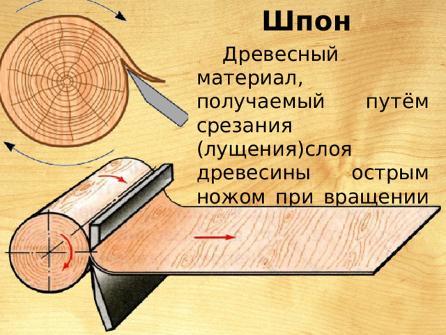 Шпон Древесный материал, получаемый путём срезания (лущения)слоя древесины острым ножом при вращении бревна 