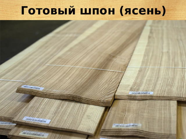 Готовый шпон (ясень) 