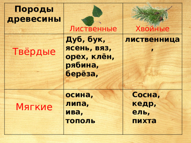 Породы древесины Лиственные Твёрдые Дуб, бук, ясень, вяз, орех, клён, рябина, берёза, Хвойные лиственница, Мягкие осина, Сосна, липа, ива, кедр, ель, тополь пихта 