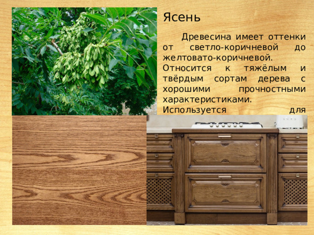 Ясень Древесина имеет оттенки от светло-коричневой до желтовато-коричневой. Относится к тяжёлым и твёрдым сортам дерева с хорошими прочностными характеристиками. Используется для изготовления мебели. 