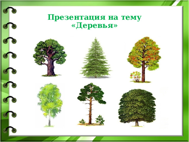 Презентация на тему «Деревья» 