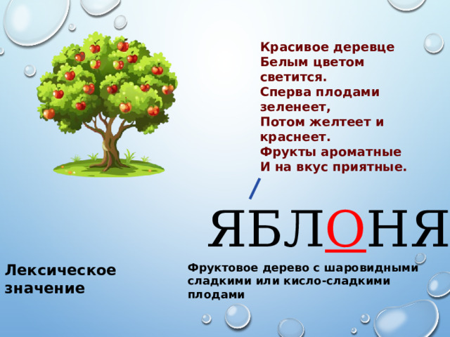 Красивое деревце  Белым цветом светится.  Сперва плодами зеленеет,  Потом желтеет и краснеет.  Фрукты ароматные  И на вкус приятные.  ЯБЛ О НЯ Лексическое значение Фруктовое дерево с шаровидными сладкими или кисло-сладкими плодами 