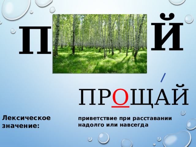 Й П ПР О ЩАЙ Лексическое значение: приветствие при расставании надолго или навсегда 