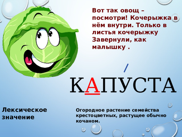 Вот так овощ – посмотри! Кочерыжка в нём внутри. Только в листья кочерыжку Завернули, как малышку . К А ПУСТА Лексическое значение Огородное растение семейства крестоцветных, растущее обычно кочаном. 