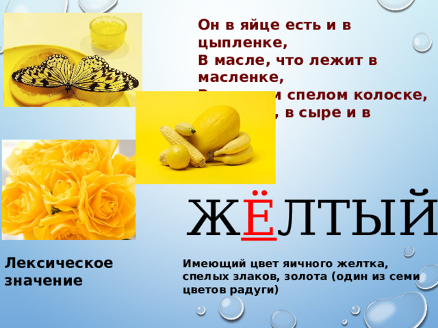 Он в яйце есть и в цыпленке, В масле, что лежит в масленке, В каждом спелом колоске, В солнце, в сыре и в песке. Ж Ё ЛТЫЙ Лексическое значение Имеющий цвет яичного желтка, спелых злаков, золота (один из семи цветов радуги) 