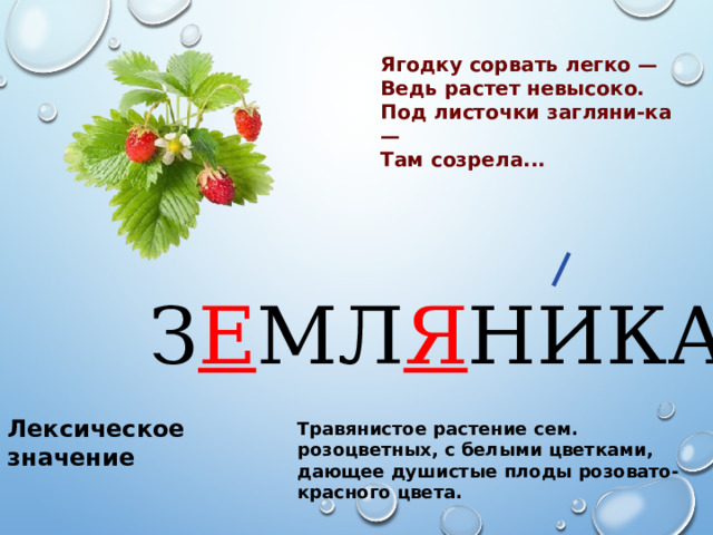 Ягодку сорвать легко — Ведь растет невысоко. Под листочки загляни-ка — Там созрела...  З Е МЛ Я НИКА Лексическое значение Травянистое растение сем. розоцветных, с белыми цветками, дающее душистые плоды розовато-красного цвета. 