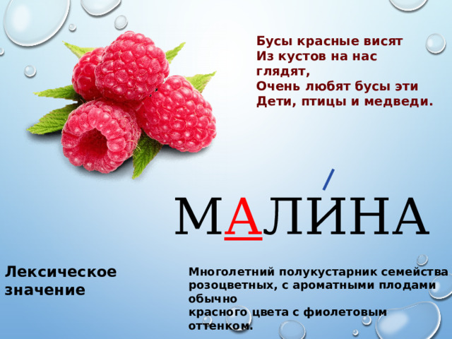 Бусы красные висят Из кустов на нас глядят, Очень любят бусы эти Дети, птицы и медведи. М А ЛИНА Лексическое значение Многолетний полукустарник семейства розоцветных, с ароматными плодами обычно красного цвета с фиолетовым оттенком. 