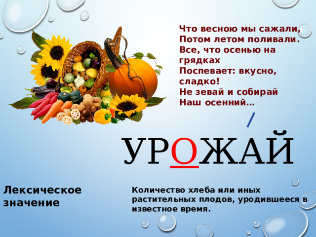 Что весною мы сажали, Потом летом поливали. Все, что осенью на грядках Поспевает: вкусно, сладко! Не зевай и собирай Наш осенний… УР О ЖАЙ Лексическое значение Количество хлеба или иных растительных плодов, уродившееся в известное время. 