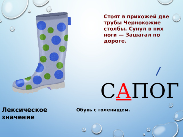 Стоят в прихожей две трубы Чернокожие столбы. Сунул в них ноги — Зашагал по дороге. С А ПОГ Лексическое значение Обувь с голенищем. 