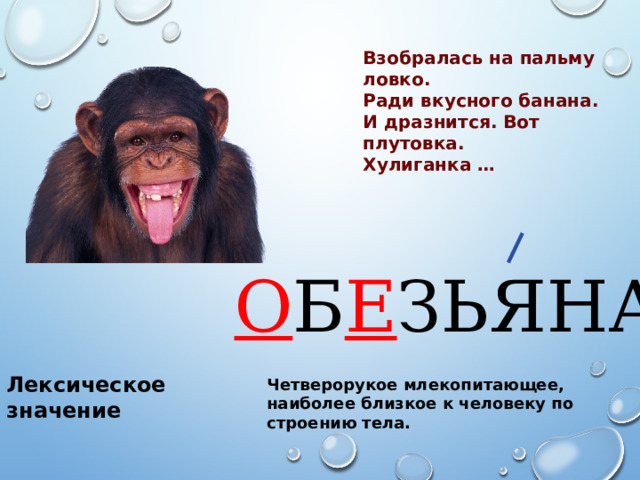 Взобралась на пальму ловко. Ради вкусного банана. И дразнится. Вот плутовка. Хулиганка … О Б Е ЗЬЯНА Лексическое значение Четверорукое млекопитающее, наиболее близкое к человеку по строению тела. 