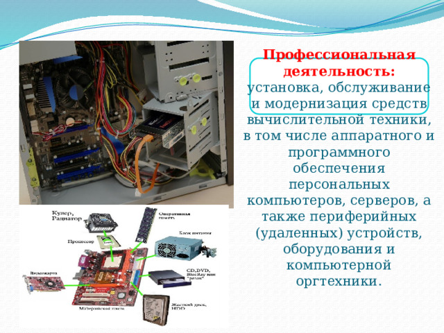 Профессиональная деятельность:  установка, обслуживание и модернизация средств вычислительной техники, в том числе аппаратного и программного обеспечения персональных компьютеров, серверов, а также периферийных (удаленных) устройств, оборудования и компьютерной оргтехники. 