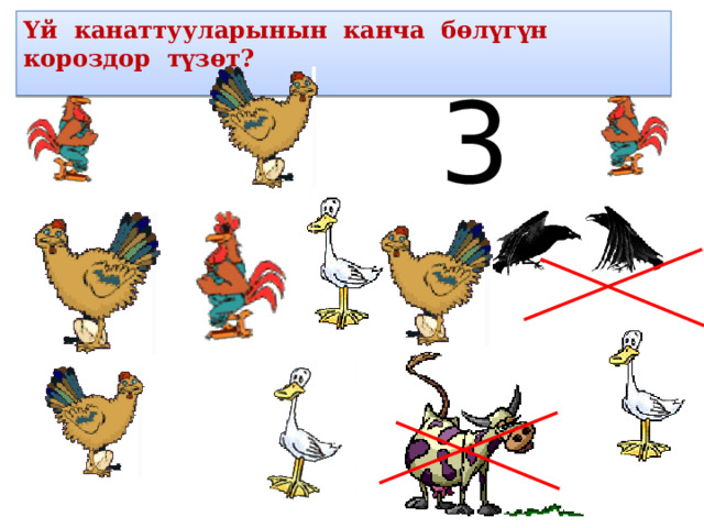 Үй канаттууларынын канча бөлүгүн короздор түзөт? 3  
