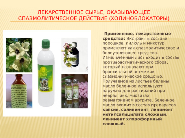 ЛЕКАРСТВЕННОЕ СЫРЬЕ, ОКАЗЫВАЮЩЕЕ СПАЗМОЛИТИЧЕСКОЕ ДЕЙСТВИЕ (ХОЛИНОБЛОКАТОРЫ)  Применение, лекарственные средства: Экстракт в составе порошков, пилюль и микстур применяют как спазмолитическое и болеутоляющее средство. Измельченный лист входит в состав противоастматического сбора, который назначают при бронхиальной астме как спазмолитическое средство. Получаемое из листьев белены масло беленное используют наружно для растираний при невралгиях, миозитах, ревматоидном артрите. Беленное масло входит в состав препаратов капсин , салинимент , линимент метилсалицилата сложный , линимент хлороформный сложный. 