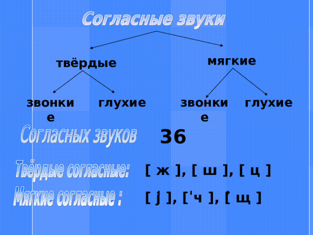 мягкие твёрдые глухие звонкие глухие звонкие 36 [ ж ] , [ ш ] , [ ц ] [  j ] , [ ч ] , [ щ ] 