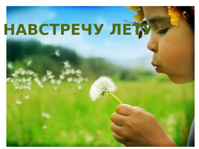 НАВСТРЕЧУ ЛЕТУ НАВСТРЕЧУ ЛЕТУ 