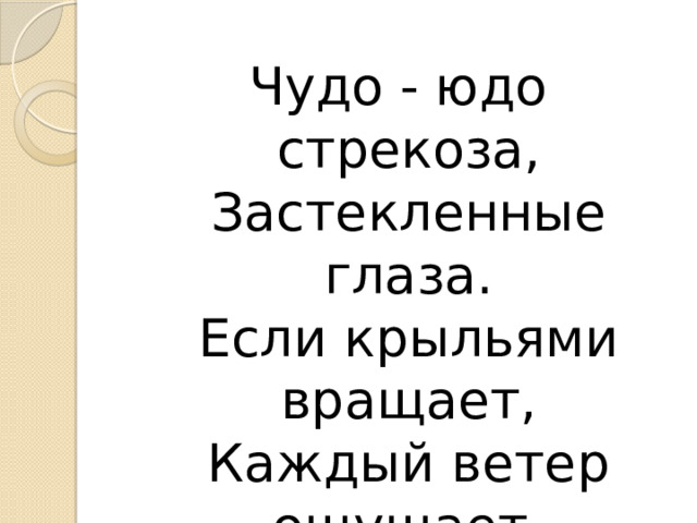 Чудо - юдо стрекоза,  Застекленные глаза.  Если крыльями вращает,  Каждый ветер ощущает. 