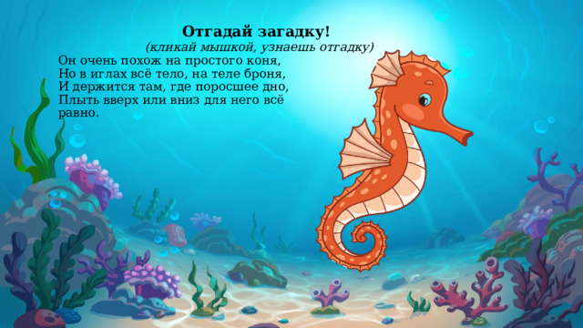 Отгадай загадку! (кликай мышкой, узнаешь отгадку) Он очень похож на простого коня,  Но в иглах всё тело, на теле броня,  И держится там, где поросшее дно,  Плыть вверх или вниз для него всё равно.  