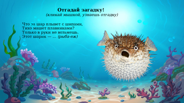 Отгадай загадку! (кликай мышкой, узнаешь отгадку)         Что за шар плывет с шипами,  Тихо машет плавниками?  Только в руки не возьмешь.  Этот шарик — ... (рыба-еж)       