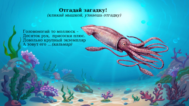 Отгадай загадку! (кликай мышкой, узнаешь отгадку)             Головоногий то моллюск –  Десяток рук,  присоски плюс.  Довольно крупный экземпляр  А зовут его …(кальмар)        