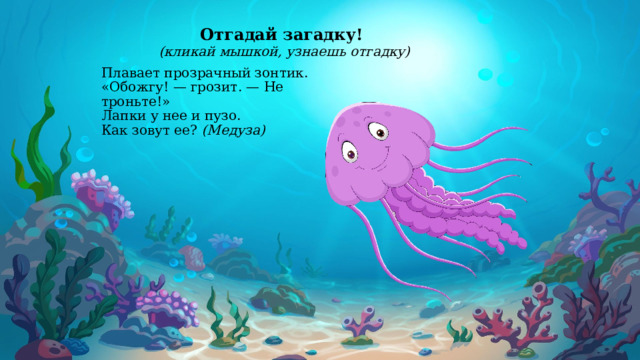 Отгадай загадку! (кликай мышкой, узнаешь отгадку)   Плавает прозрачный зонтик.  «Обожгу! — грозит. — Не троньте!»  Лапки у нее и пузо.  Как зовут ее? (Медуза)   
