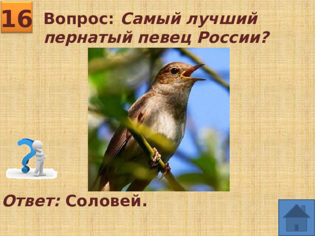 16 Вопрос: Самый лучший пернатый певец России? Ответ: Соловей. 