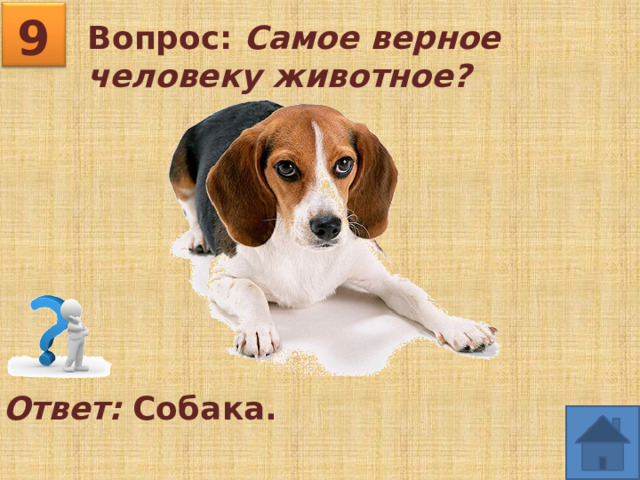 9 Вопрос: Самое верное человеку животное?  Ответ: Собака. 