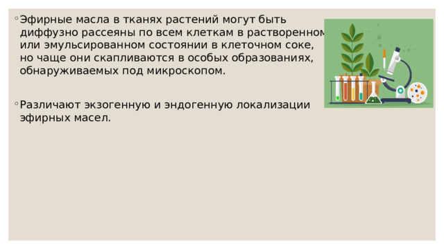 Эфирные масла в тканях растений могут быть диффузно рассеяны по всем клеткам в растворенном или эмульсированном состоянии в клеточном соке, но чаще они скапливаются в особых образованиях, обнаруживаемых под микроскопом. Различают экзогенную и эндогенную локализации эфирных масел. 